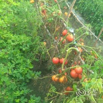 大兴安岭望江亭温馨的家特色民宿酒店提供图片