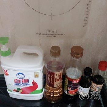 天津东方醒狮公寓酒店提供图片