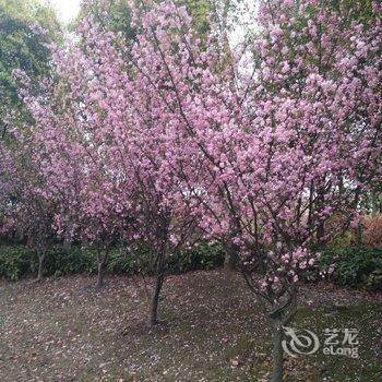 杭州千岛湖知音民宿(大柘坞村分店)酒店提供图片