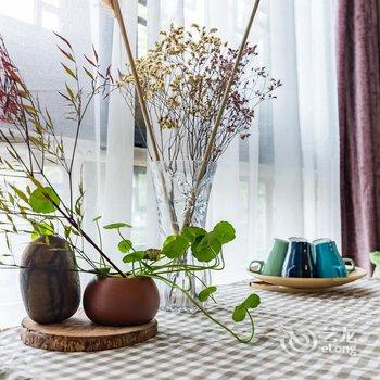 成都都江堰景区有家精品民宿(10号店)酒店提供图片