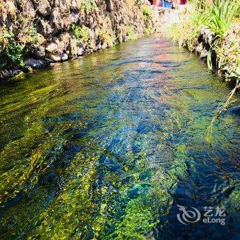 玉龙木居美宿民宿酒店提供图片