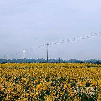 平乐古镇至福园客栈酒店提供图片