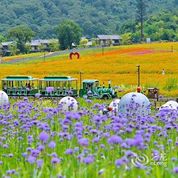 花筑·端心求度客栈(无锡灵山大佛拈花湾店)酒店提供图片