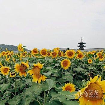 花筑·端心求度客栈(无锡灵山大佛拈花湾店)酒店提供图片