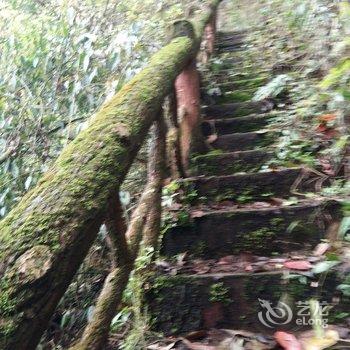 成都言午特色民宿酒店提供图片