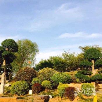 青岛双海景温馨大床房公寓酒店提供图片