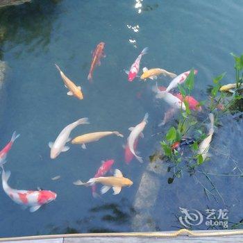 王姐公寓(北京都市馨园店)酒店提供图片