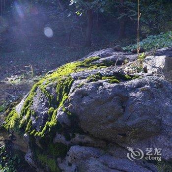 北京画田山居民宿(密云北庄清水河店)酒店提供图片