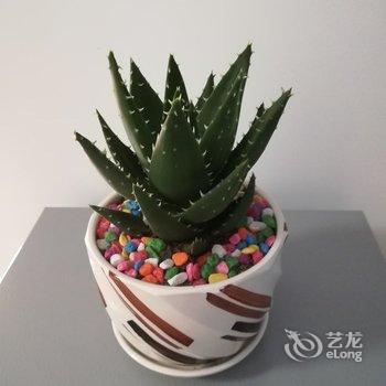 西安白云公寓酒店提供图片
