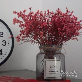 青岛美美与共公寓(4号店)酒店提供图片