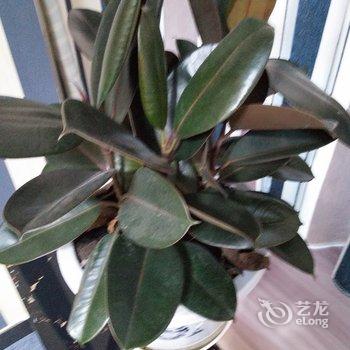 �����ܰ�Ƶ깫Ԣ�Ƶ��ṩͼƬ