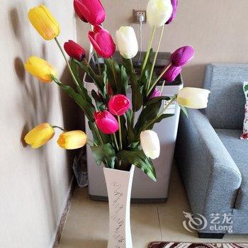 �����ܰ�Ƶ깫Ԣ�Ƶ��ṩͼƬ