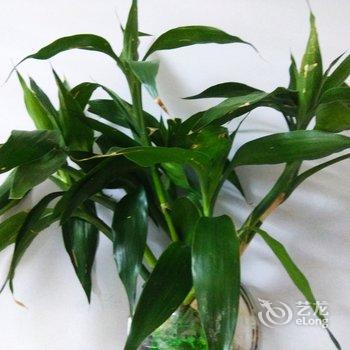 成都绿荫公寓(东坡村分店)酒店提供图片