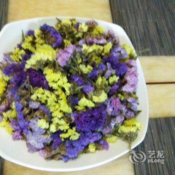 成都绿荫公寓(东坡村分店)酒店提供图片