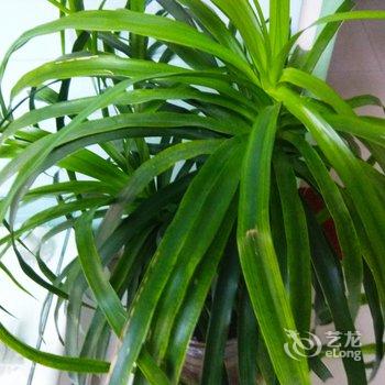成都绿荫公寓(东坡村分店)酒店提供图片
