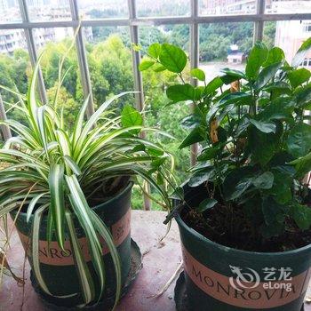 成都绿荫公寓(东坡村分店)酒店提供图片