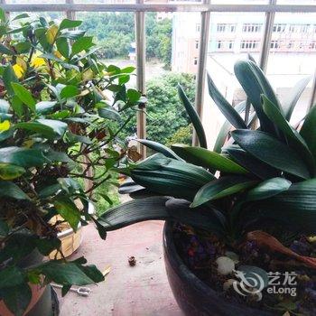 成都绿荫公寓(东坡村分店)酒店提供图片