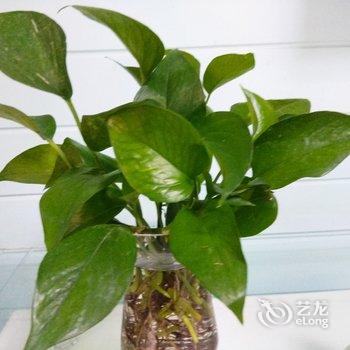 成都绿荫公寓(东坡村分店)酒店提供图片