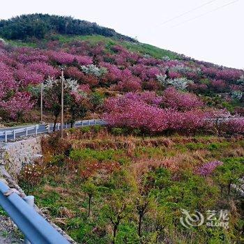 余姚茶香小院民宿酒店提供图片