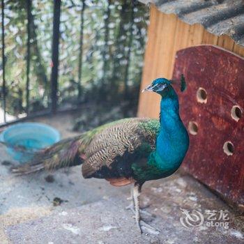 苏州太湖生态岛聆风山居民宿酒店提供图片