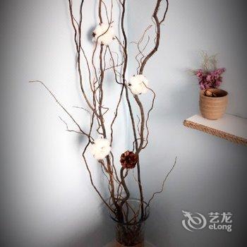 西安1214花房民宿酒店提供图片
