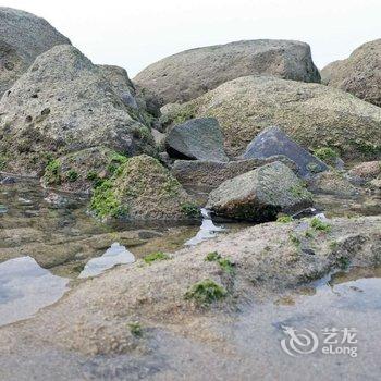 湛江硇洲岛祥龙渔家乐酒店提供图片