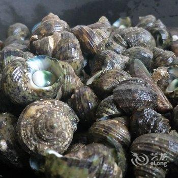 湛江硇洲岛祥龙渔家乐酒店提供图片