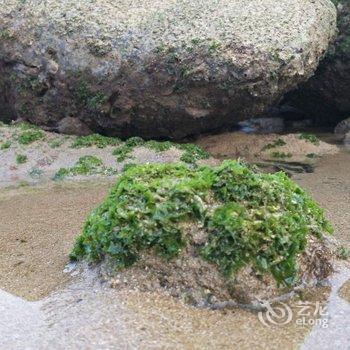 湛江硇洲岛祥龙渔家乐酒店提供图片