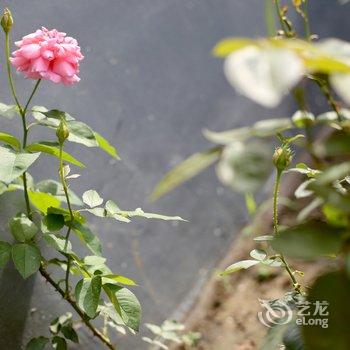 北京小静儿客栈酒店提供图片