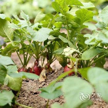 北京小静儿客栈酒店提供图片