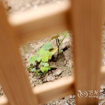 北京小静儿客栈酒店提供图片