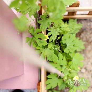 北京小静儿客栈酒店提供图片