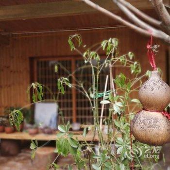 彭州梧桐树下的故事民宿酒店提供图片