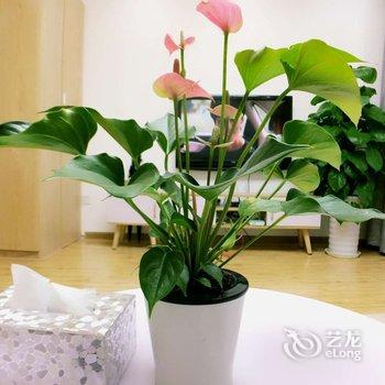 成都成都爱上熊猫民宿(黄河中路二段分店)酒店提供图片