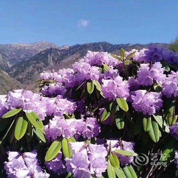 汶川汶懋客栈酒店提供图片