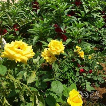 北京山谷青年旅社酒店提供图片