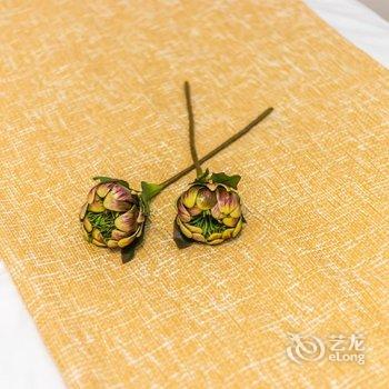 广州路客精品民宿BE5840酒店提供图片
