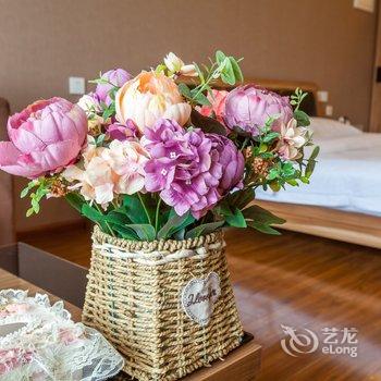 成都春风里民宿公寓酒店提供图片