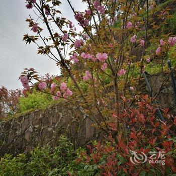 杭州宁静民宿酒店提供图片