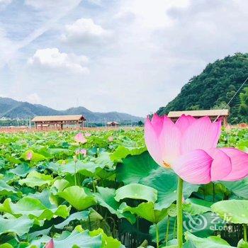 杭州悦来山居度假别墅酒店提供图片