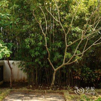 陵水(三亚)清水湾海湾度假别墅酒店提供图片