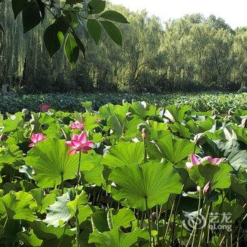西安西京医院.交大理工大地铁口公寓酒店提供图片