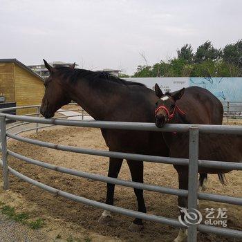 昌黎黎媛公寓酒店提供图片