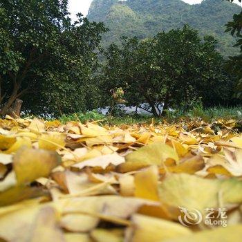 桂林阿辉公寓酒店提供图片