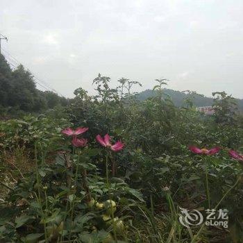 金寨峡谷驿栈酒店提供图片