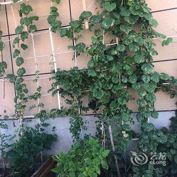 西安东骊人家公寓酒店提供图片