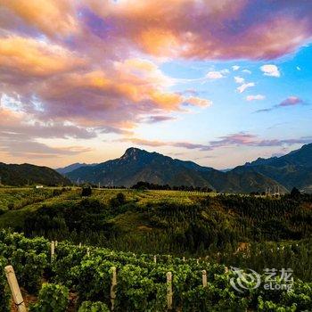 蓝田玉川酒舍艺术酒店酒店提供图片