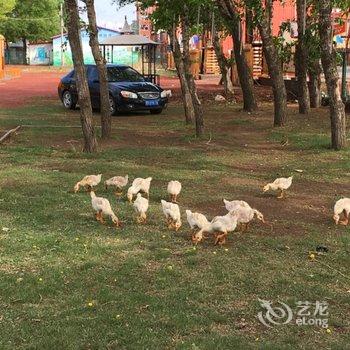 张北蒙汉部落农家院酒店提供图片