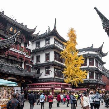 �Ϻ�ԥ԰Сջ�Ƶ��ṩͼƬ