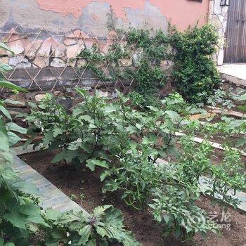 北京店小二儿客栈酒店提供图片